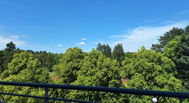 Ausblick