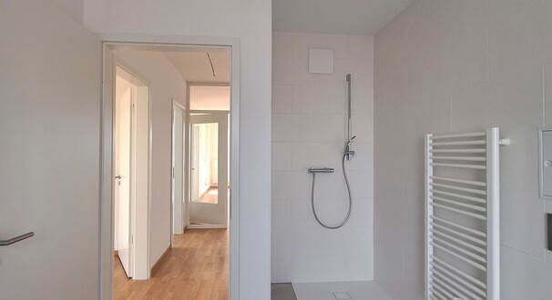 Dusche im Haupt-Badezimmer