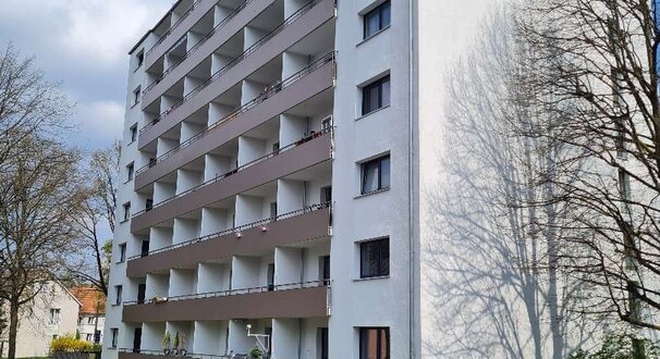 20250414_131819.jpg