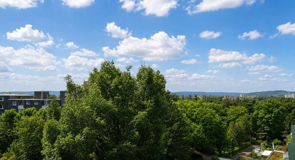 Deisterblick