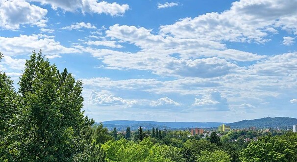 Deisterblick