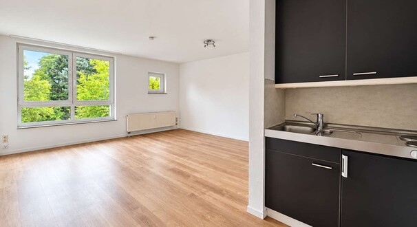 Wohnbereich mit Pantry Küche