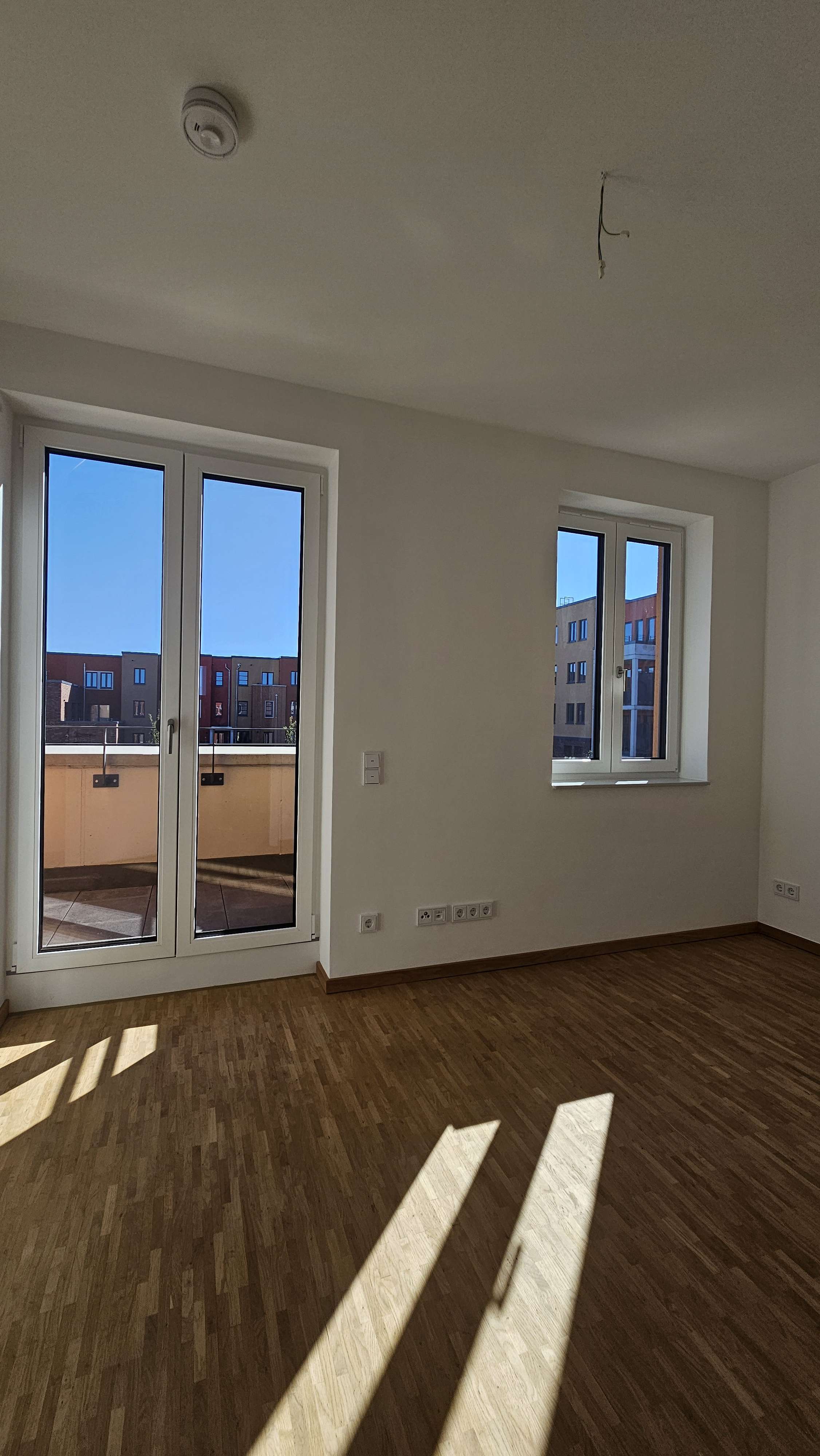 Zimmer DG