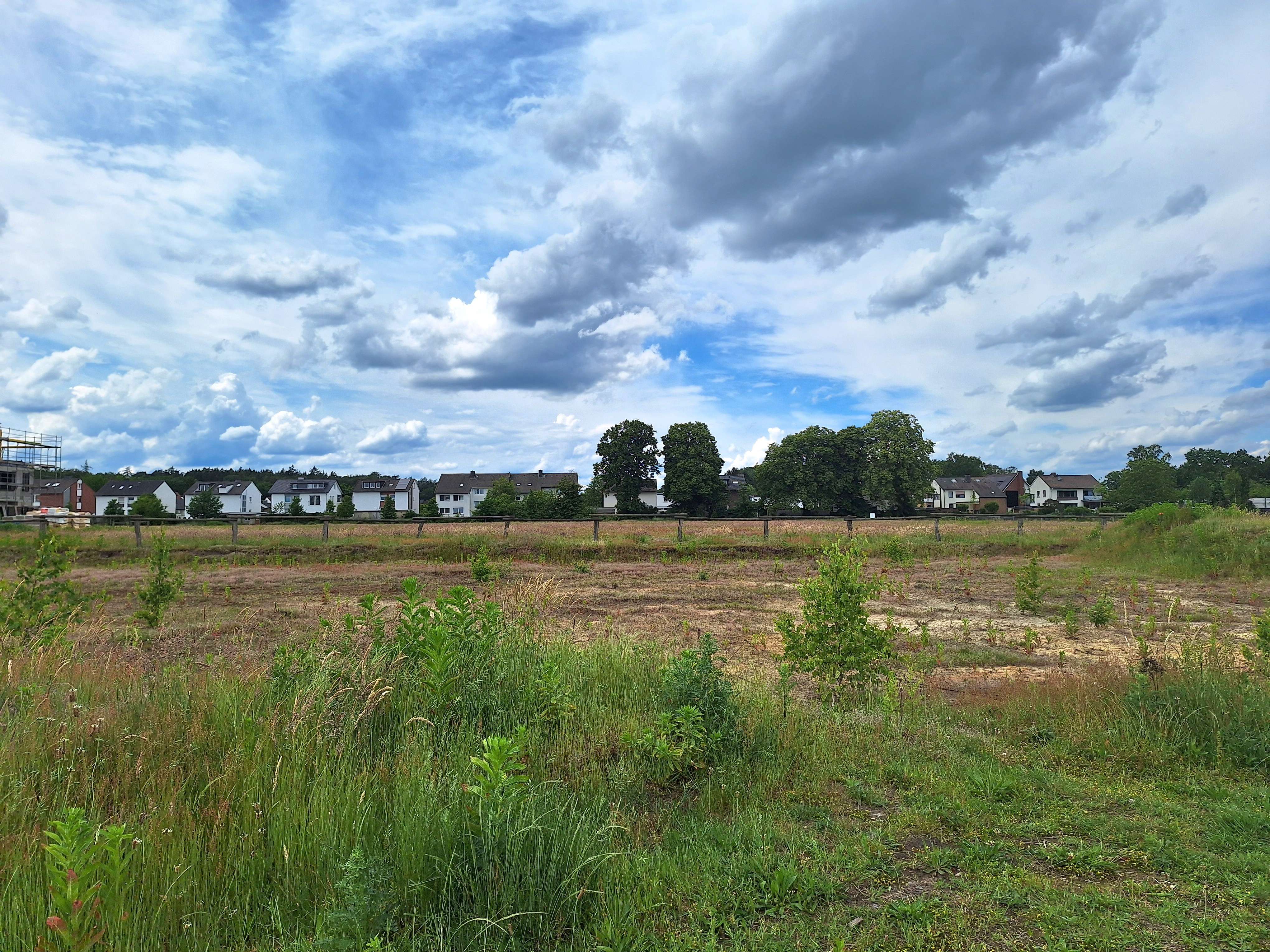 Grundstück - Blick nach Westen