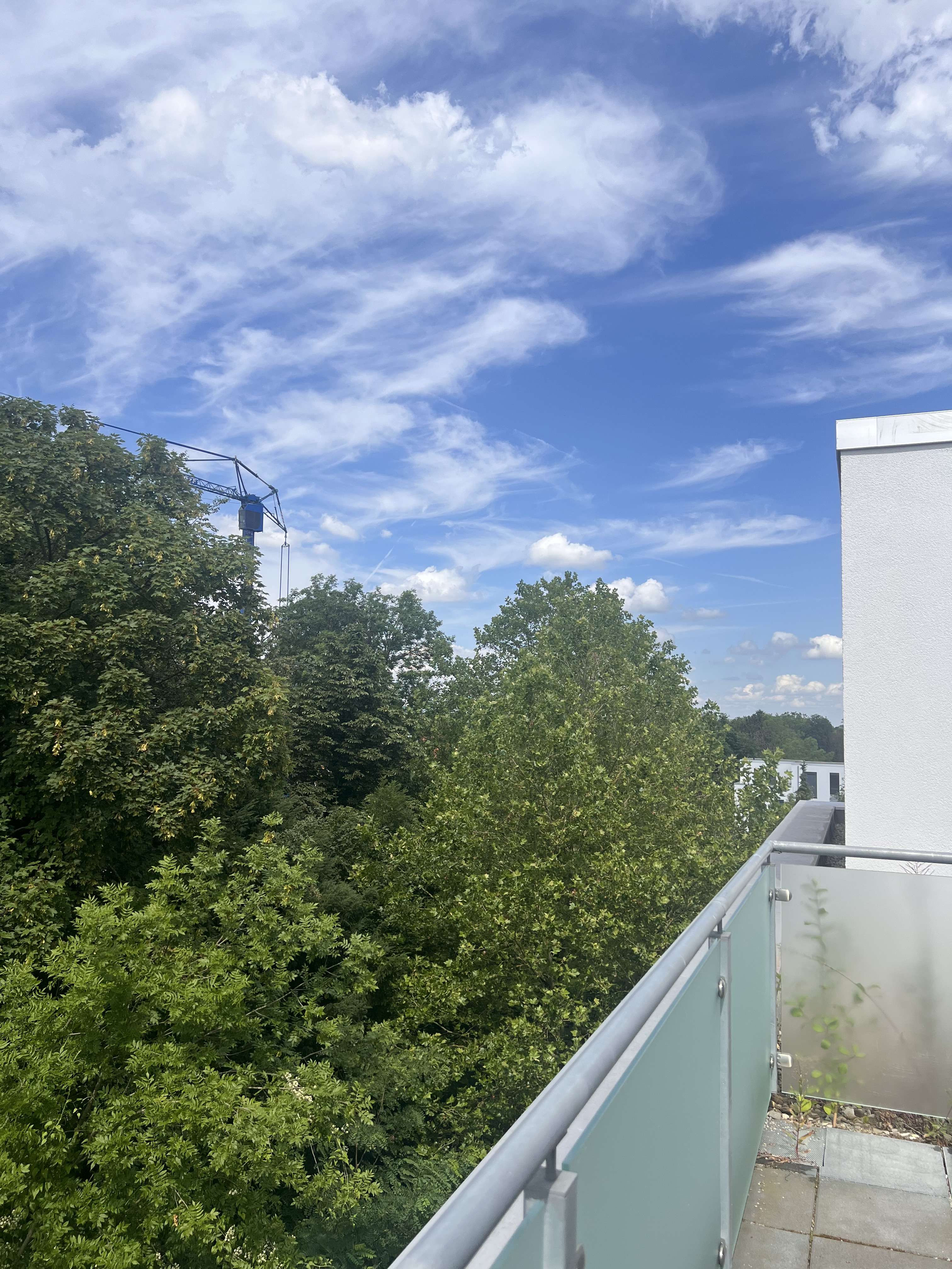 Ausblick