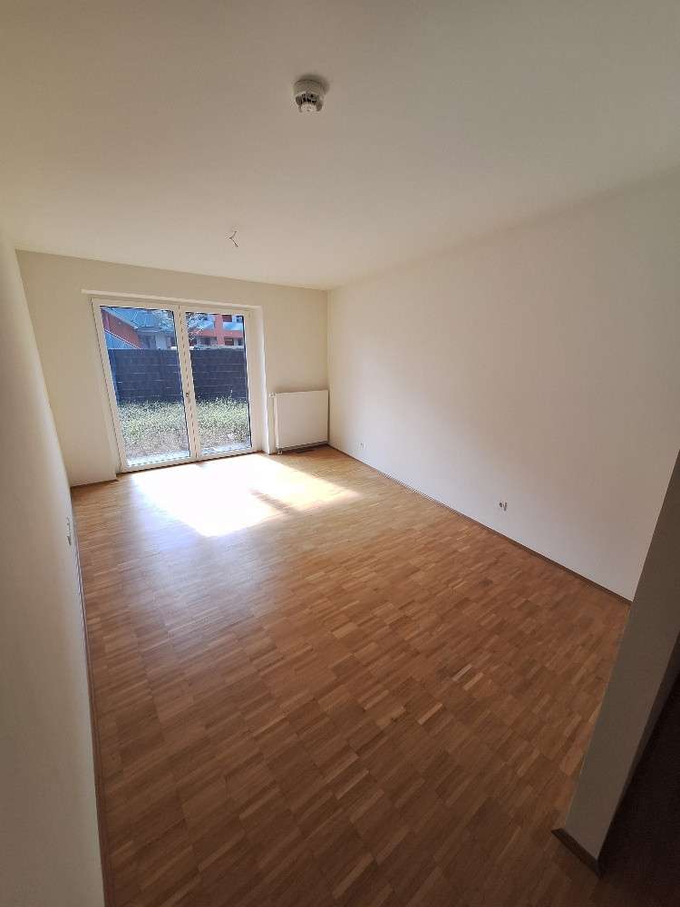 Zimmer