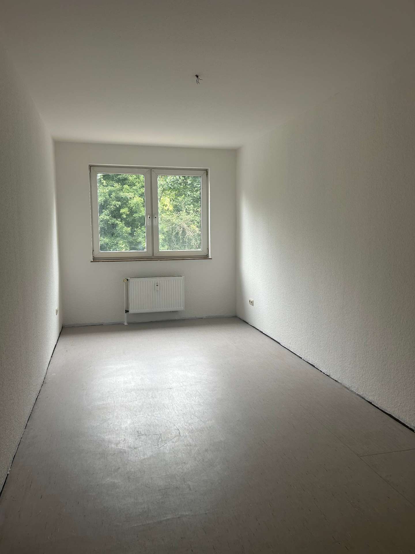 Zimmer