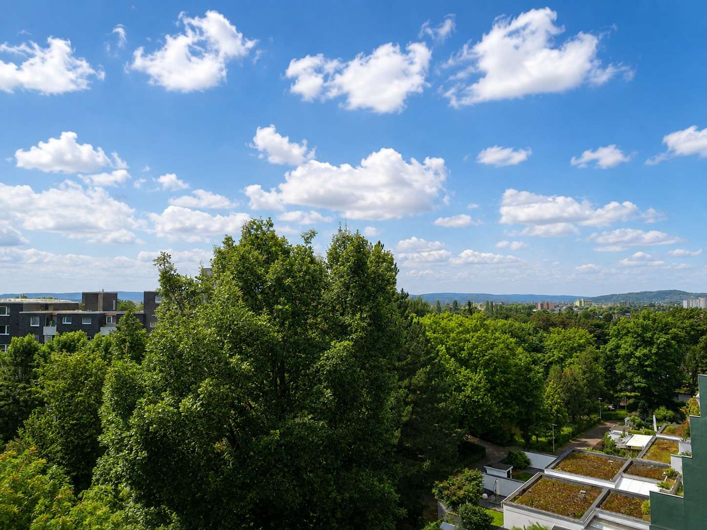 Deisterblick