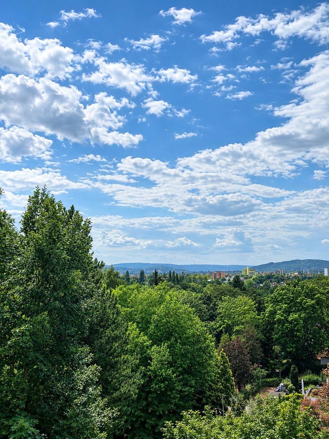Deisterblick